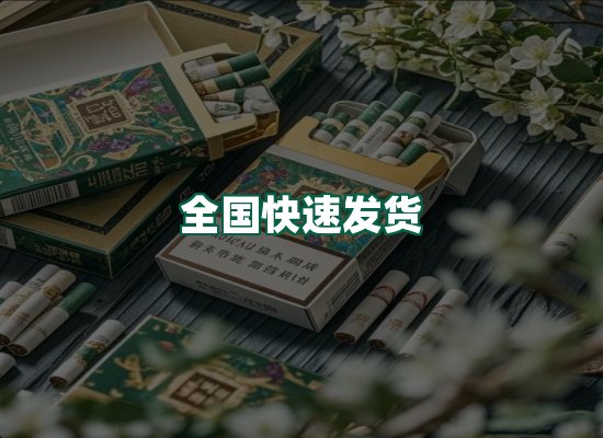 核心优势